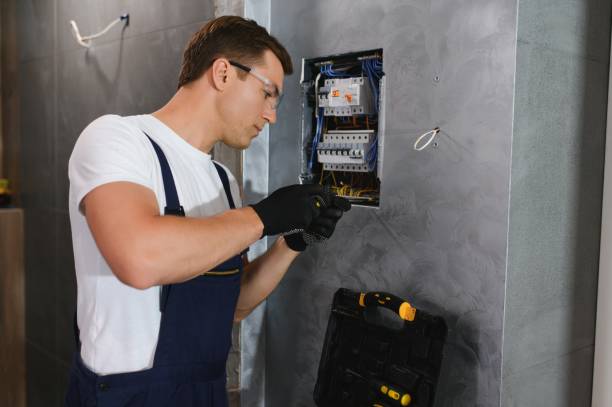 Best Home Electrical Repair  in Grapeland, TX